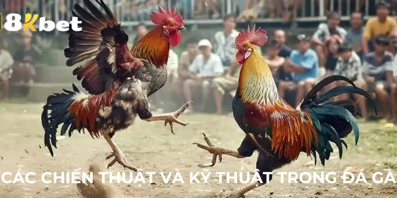 cac-chien-thuat-và ky-thuat-trong-da-ga
