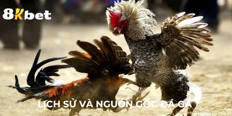 lich-su-va-nguon-goc-cua-da-ga-c1