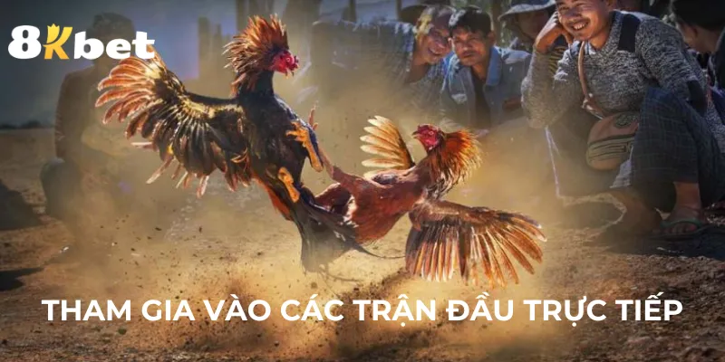 tham-gia-cac-tran-dau-truc-tiep